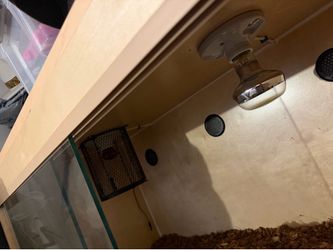 Birch wood reptile enclosure