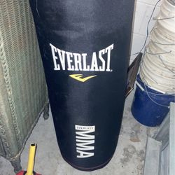 EverLast 80LB Punching Bag