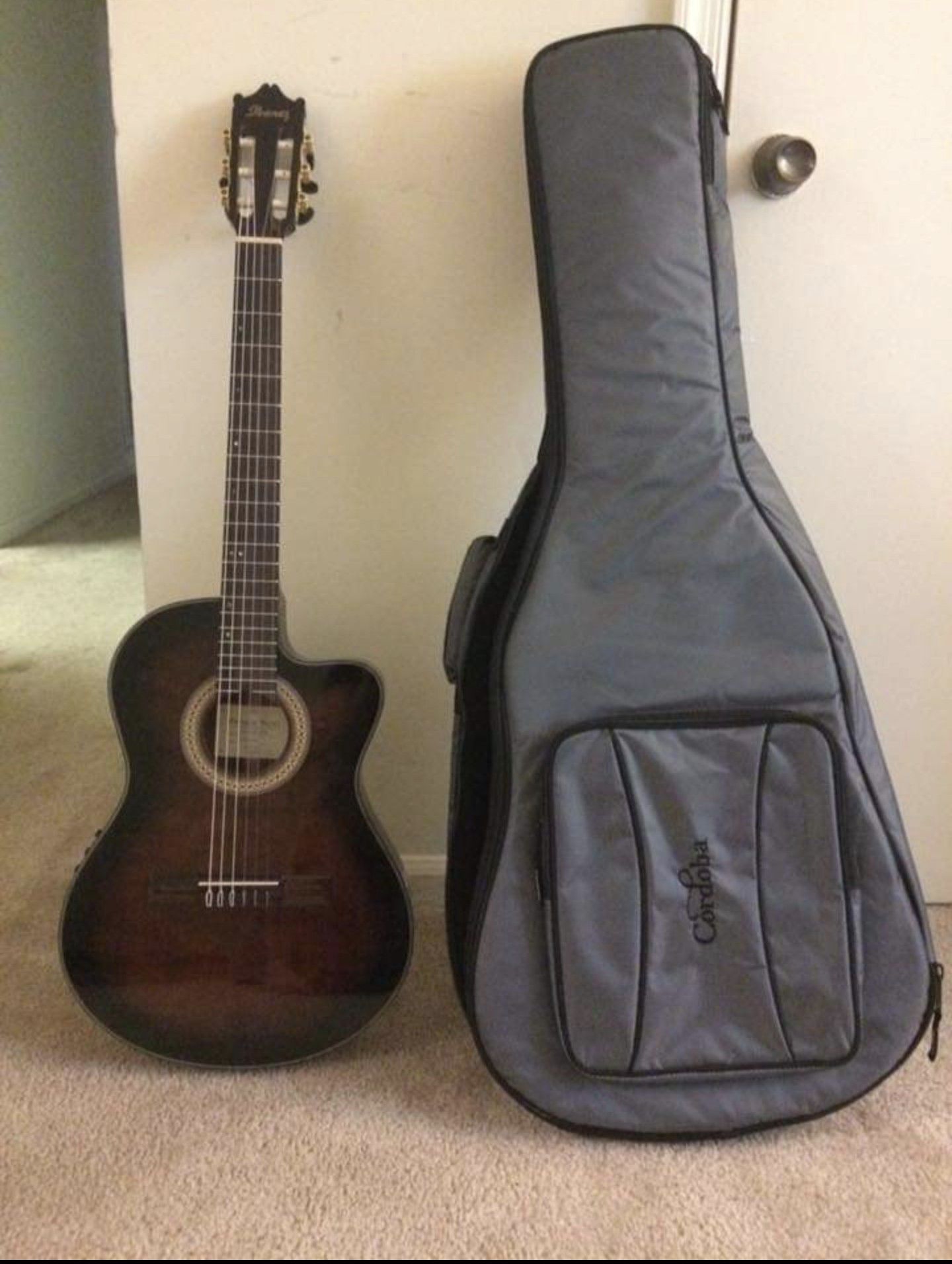 Ibanez Acoustic Electric Guitar (With Case)