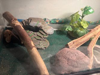 Glass Tank Available / read description below