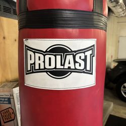 Prolast Heavy Bag