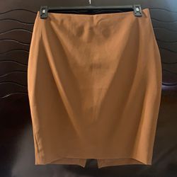 Express Pencil Skirt 