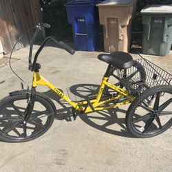 Trike Bike