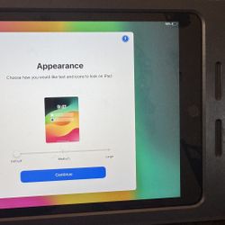 iPad 