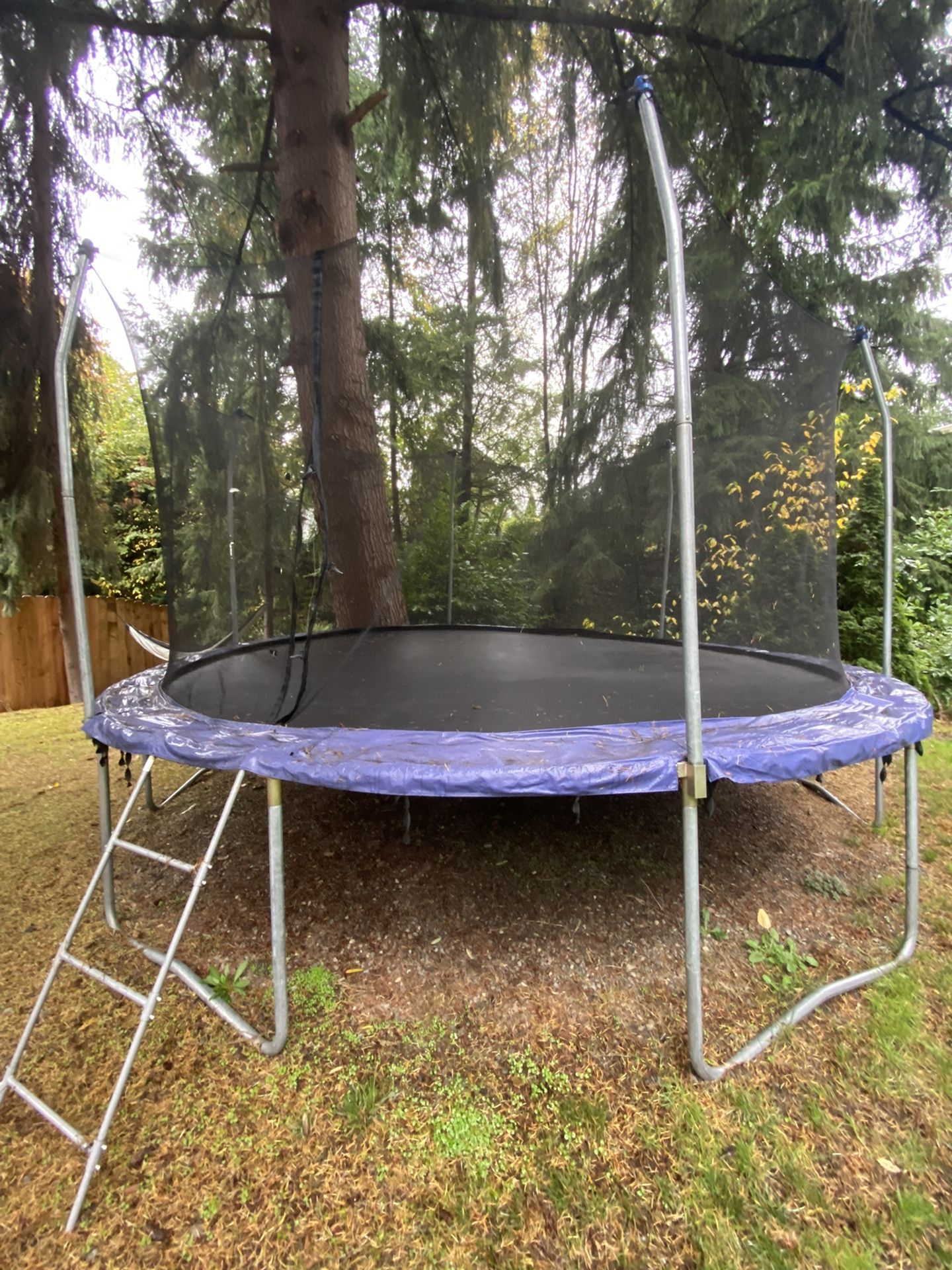 14’ Trampoline with Safety Net And Extra Bounce!