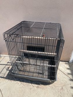 Large bird cage