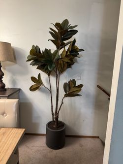 Plant (fake)