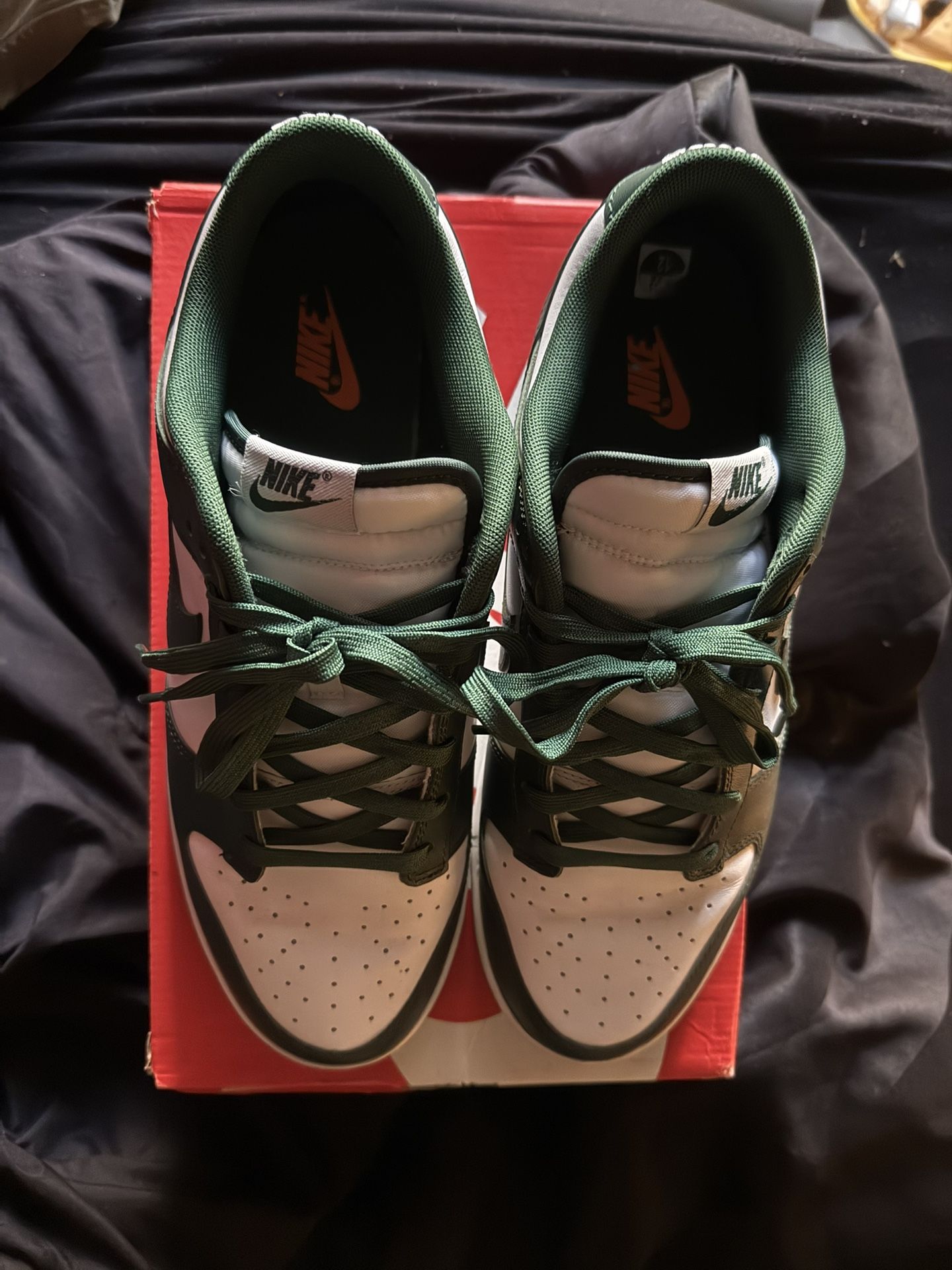 Nike Dunk Low “Michigan state”