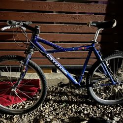 Cannondale, Trek, & K2 Bundle Buy