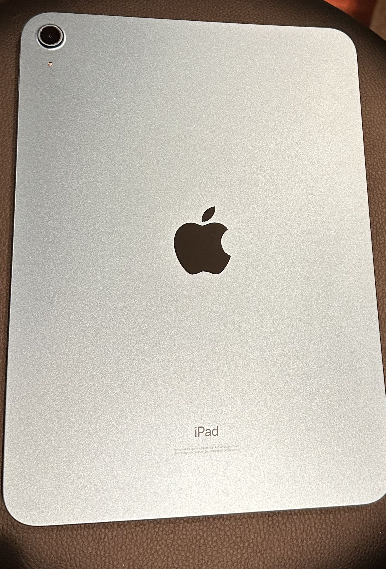 iPad 10th Generation 256G