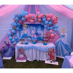 Cinderella Birthday Party
