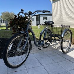 Schwinn Meridian Adult Tricycle 24” Single Speed W/cargo Basket 