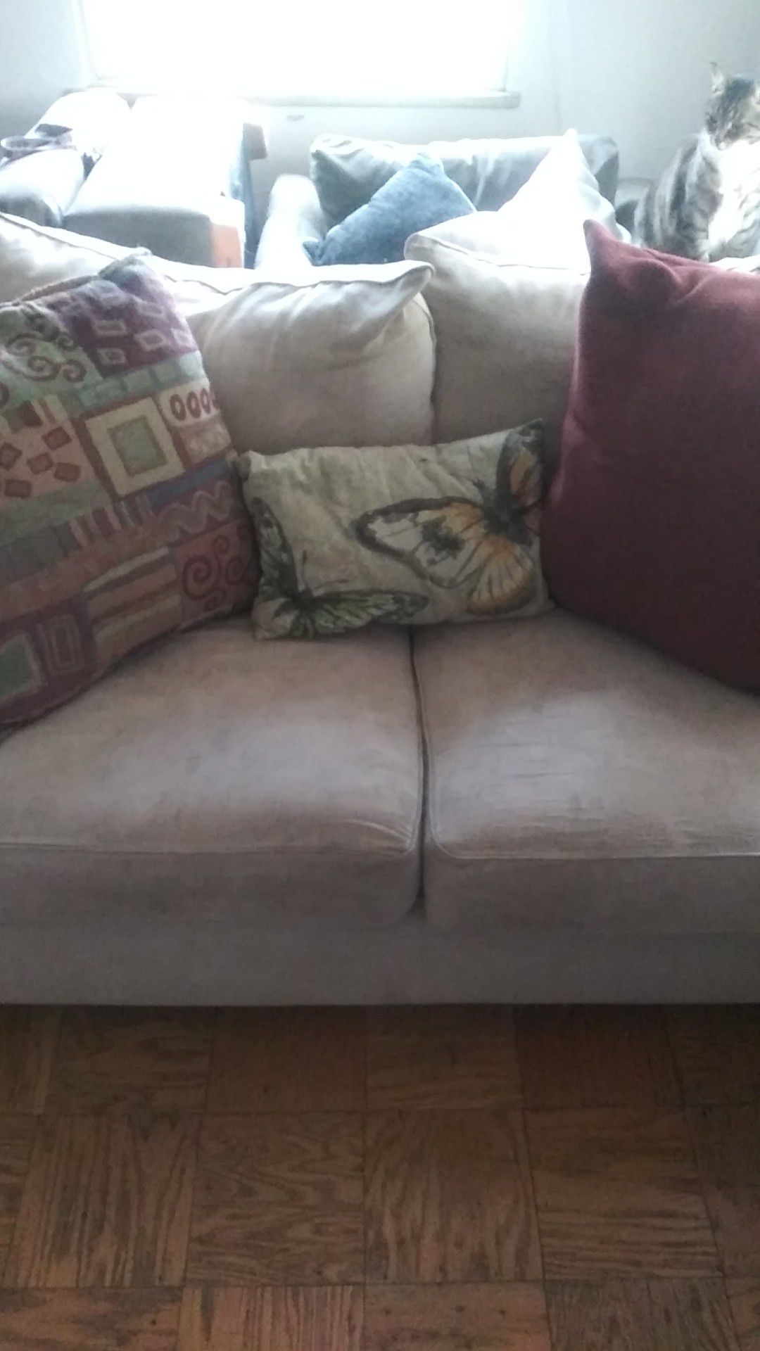 Free curb alert Couches