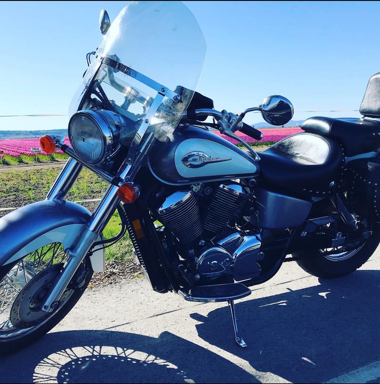 2003 Honda Shadow ACE 750