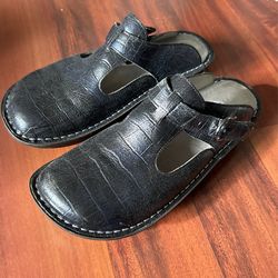 Women’s Alegria Clog Size 9.5
