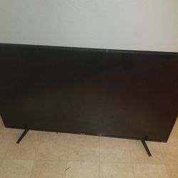 55 Inch TV (Stopped Turning On)