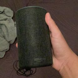 Speaker 