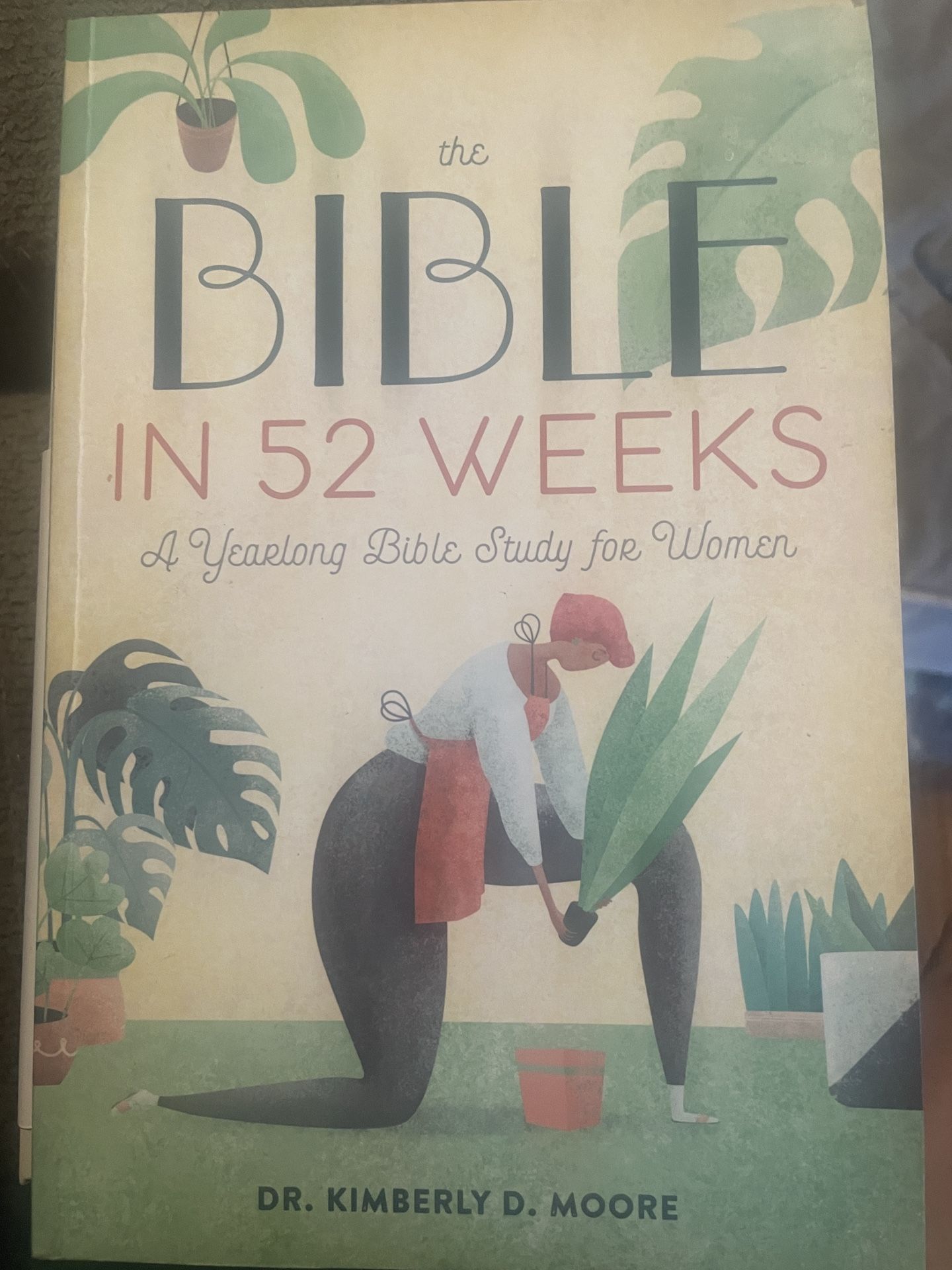CSB She Reads Truth & Bible Study Book
