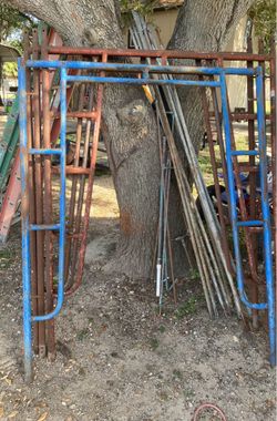 Scaffold