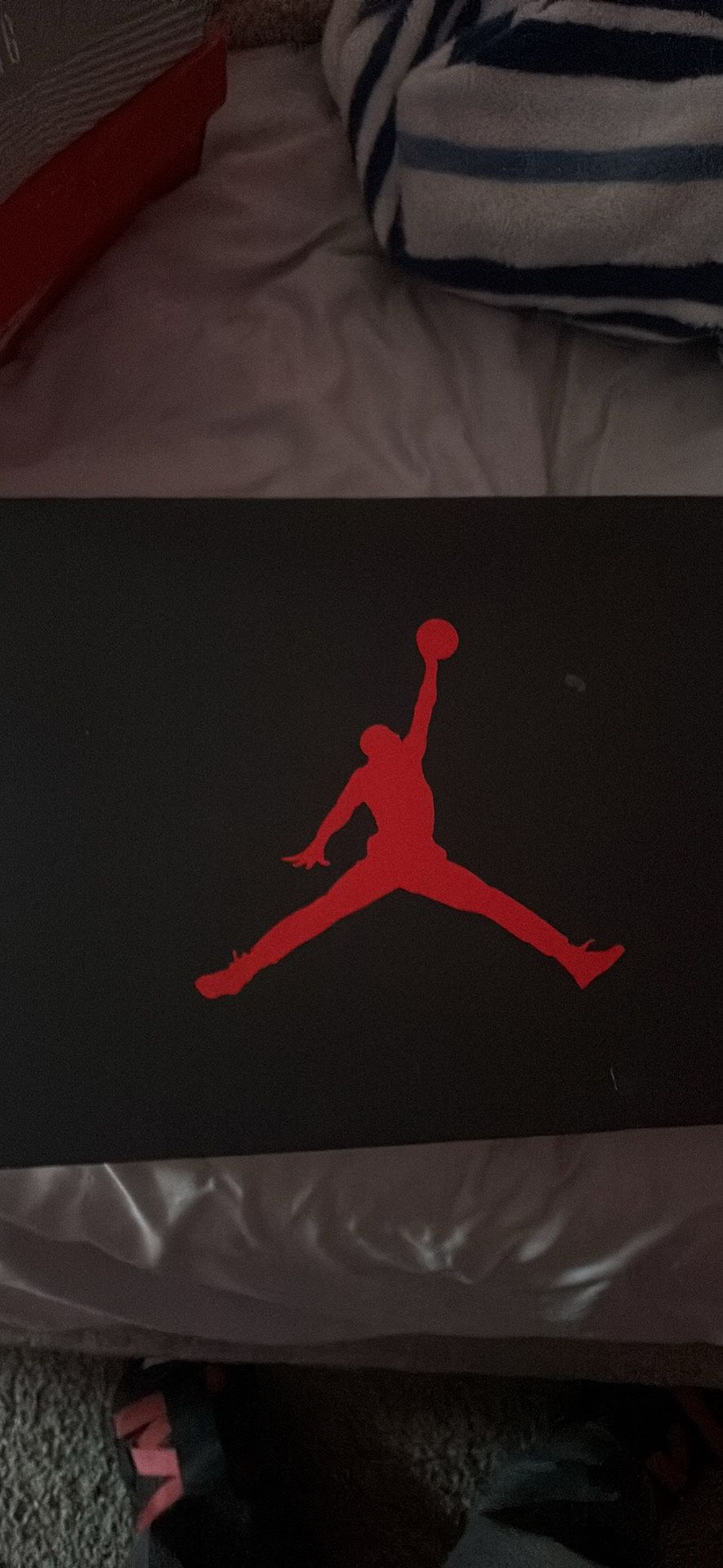 AIR JORDAN 5