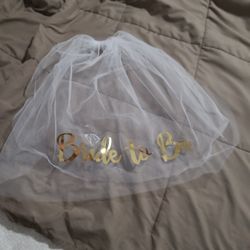 Bride To Be Veil