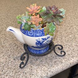 Succulent Arrangement 