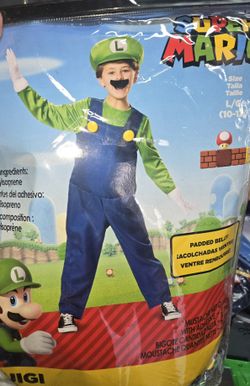 Luigi Costume