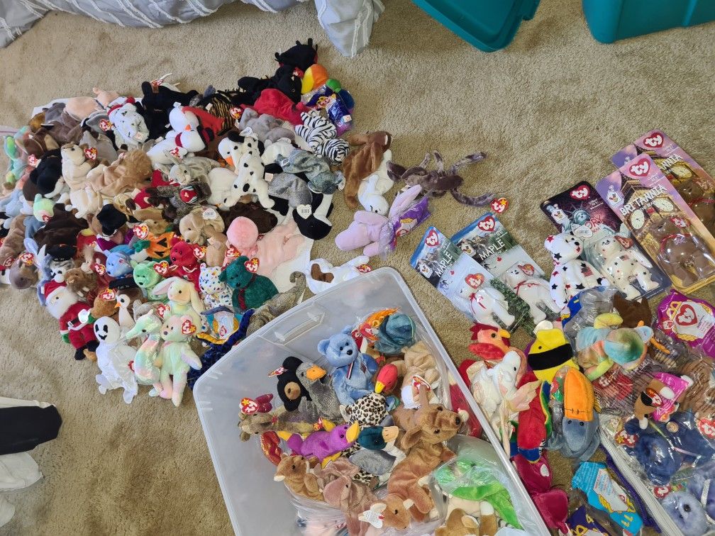 Entire Beanie Baby Collection 