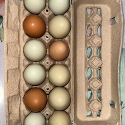 Blanquillos De Rancho