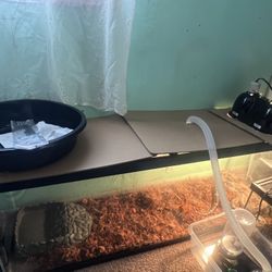 55 Gallon 