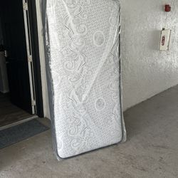 All Sizes Available Same Day Delivery 