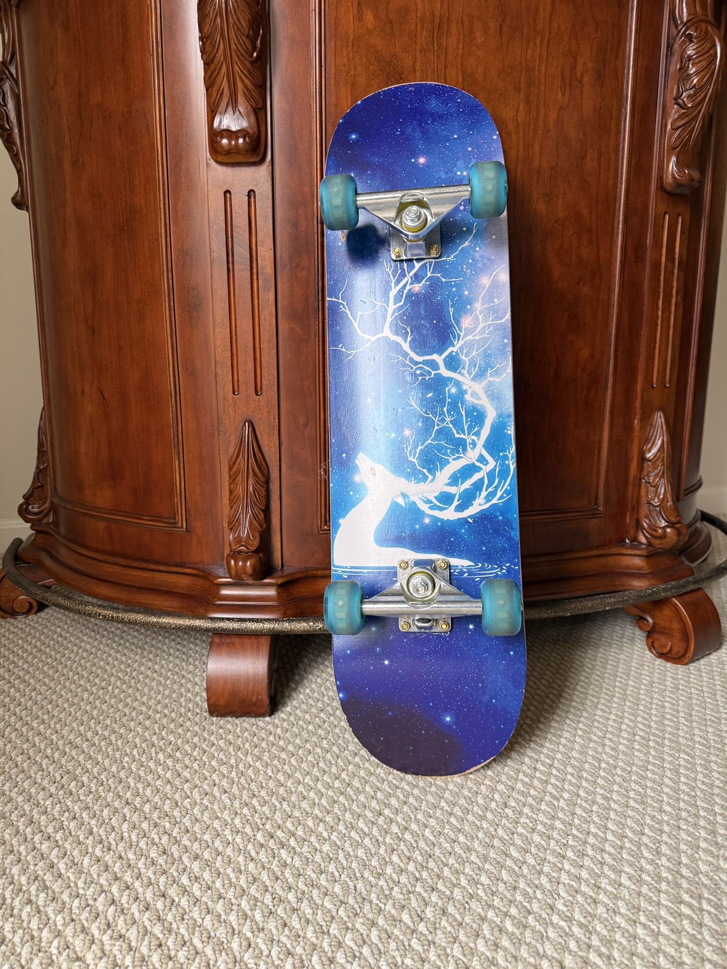 Skate Board