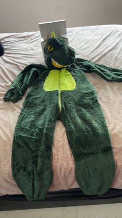 Dinosaur onesie pajamas/costume