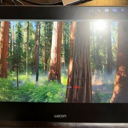 Wacom Cintiq Pro 13 (DTH-1320) *READ DESC*