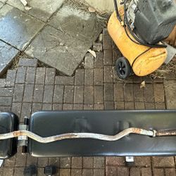 Curl EZ Bar 