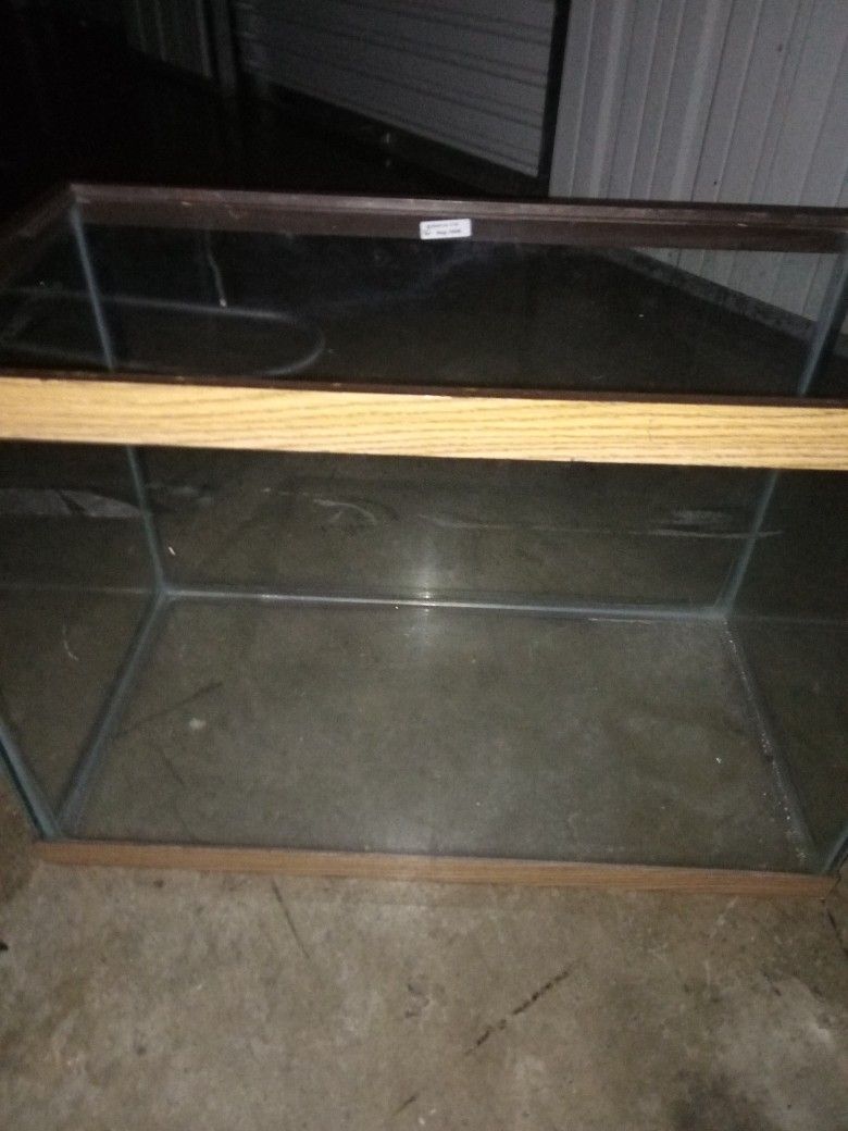 Fish Tank