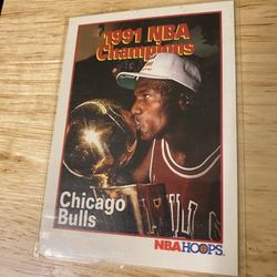 Chicago Bulls Card 1991 NBA Champions $$