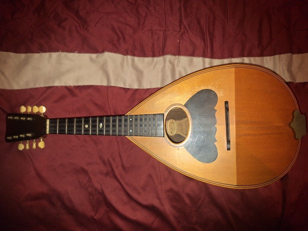 Washburn Bowl Back Mandolin