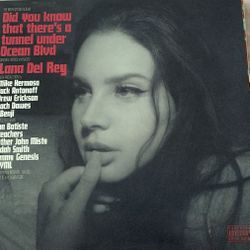 lana del rey vinyl “ did you know theres a tunnel under ocean blvd” 