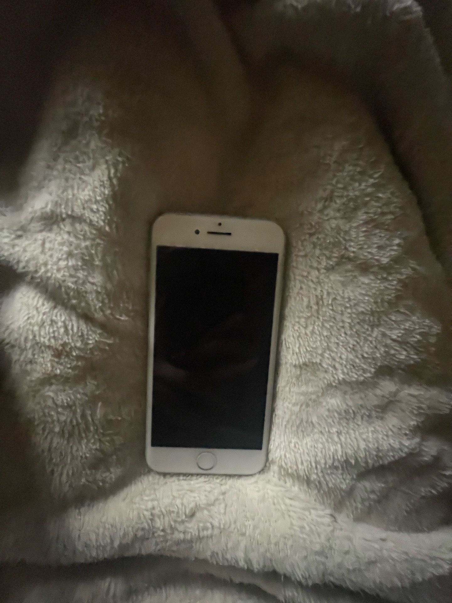 iPhone 8