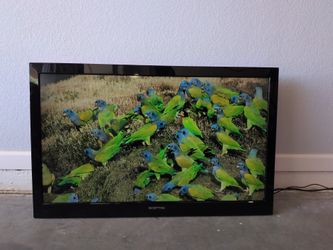 40' Sceptre LED TV