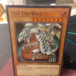Blue Eyes White Dragon