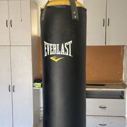 Everlast PowerCore Hanging Punching Bag 