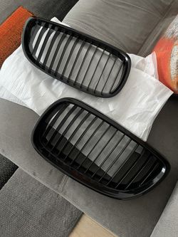 Kidney Grill