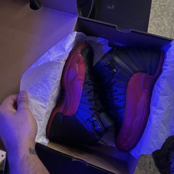 Jordan 12 Size 6.5