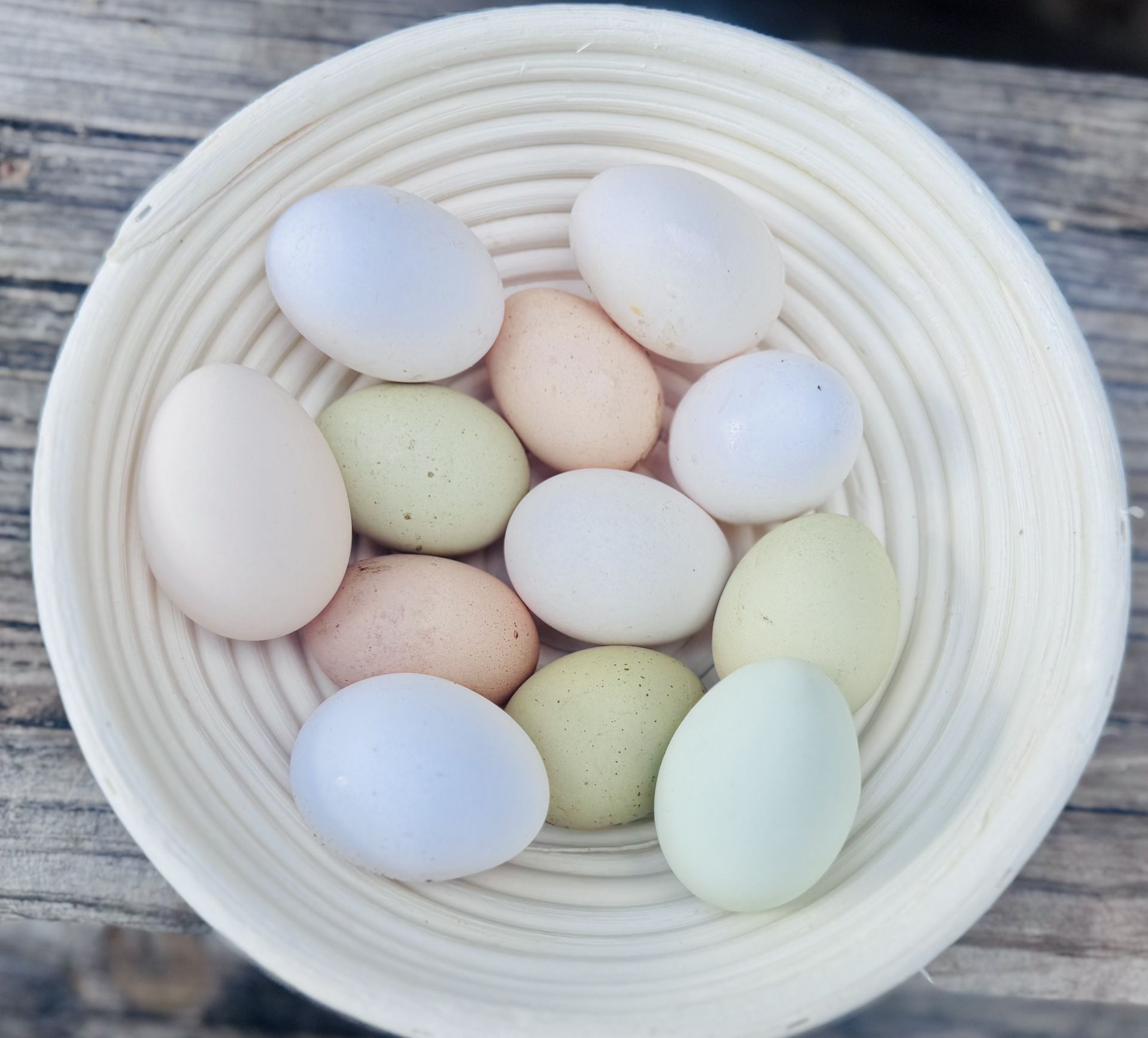 Fresh Pasture Eggs, $5/dozen, P/U Davenport