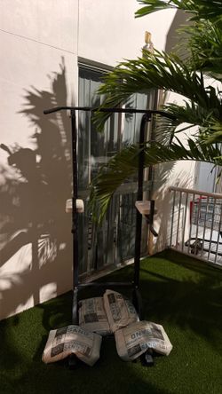 Pull-up/Dip Bars - $20