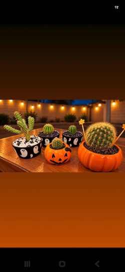 Halloween Cactus Planter Set
