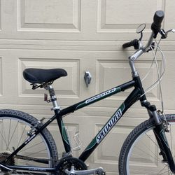 Medium SPECIALIZED Expedition Aluminum Comfort Commuter Utility Bike Bicycle