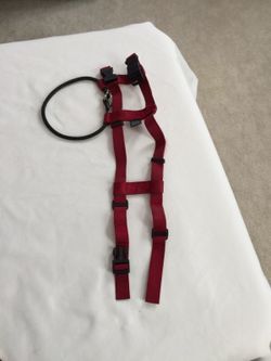 Dog Harness Sz Med
